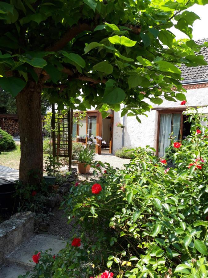 Vineuil  L'Orme Seul, Maison D'Hotes المظهر الخارجي الصورة