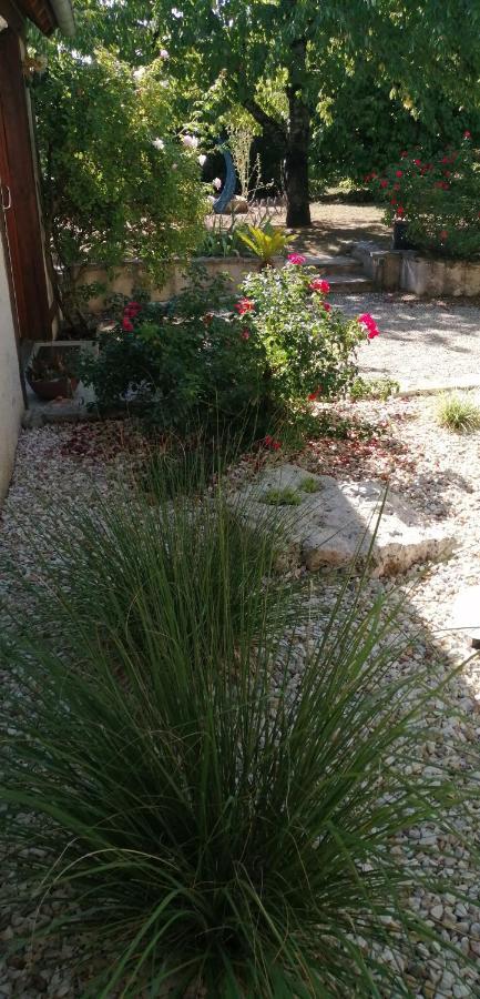 Vineuil  L'Orme Seul, Maison D'Hotes المظهر الخارجي الصورة