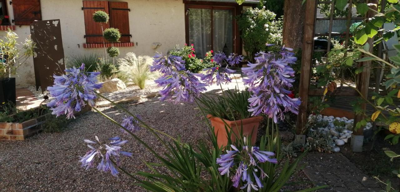 Vineuil  L'Orme Seul, Maison D'Hotes المظهر الخارجي الصورة