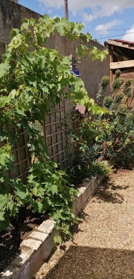 Vineuil  L'Orme Seul, Maison D'Hotes المظهر الخارجي الصورة