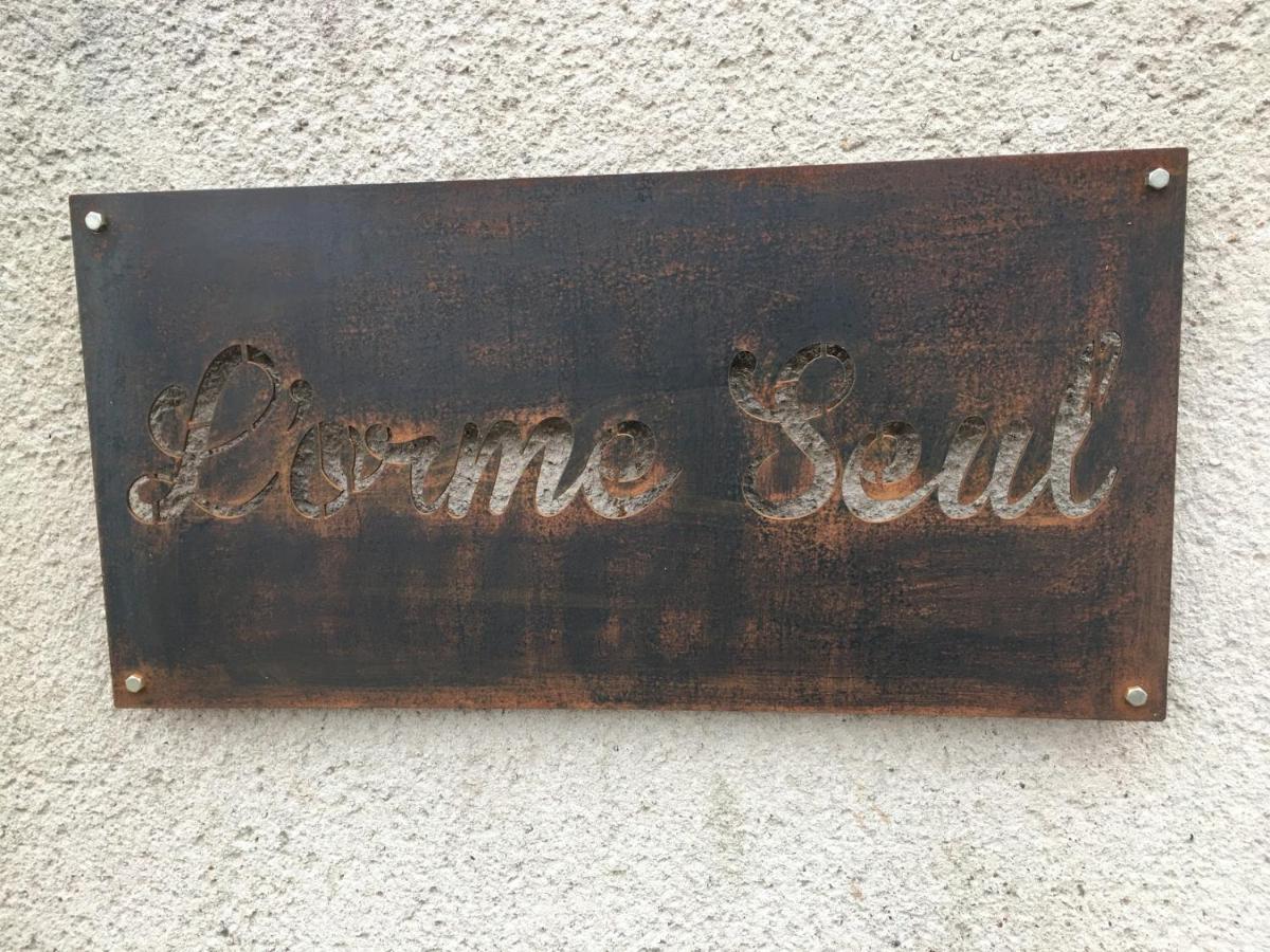 Vineuil  L'Orme Seul, Maison D'Hotes المظهر الخارجي الصورة